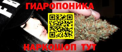 apvp Краснокаменск