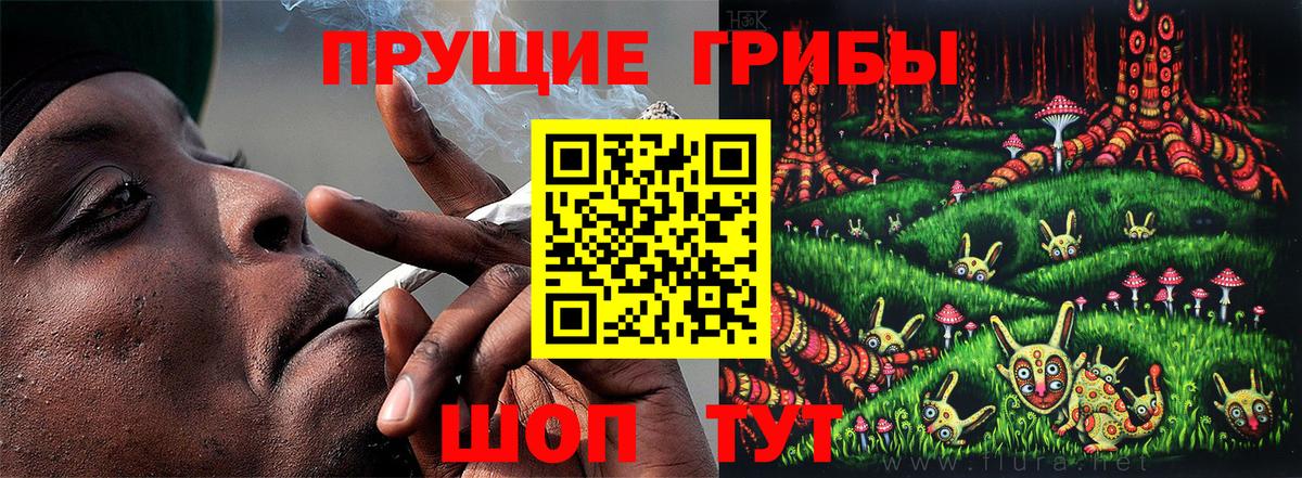 Псилоцибиновые грибы Psilocybine cubensis  Вход с VPN  Ипатово 